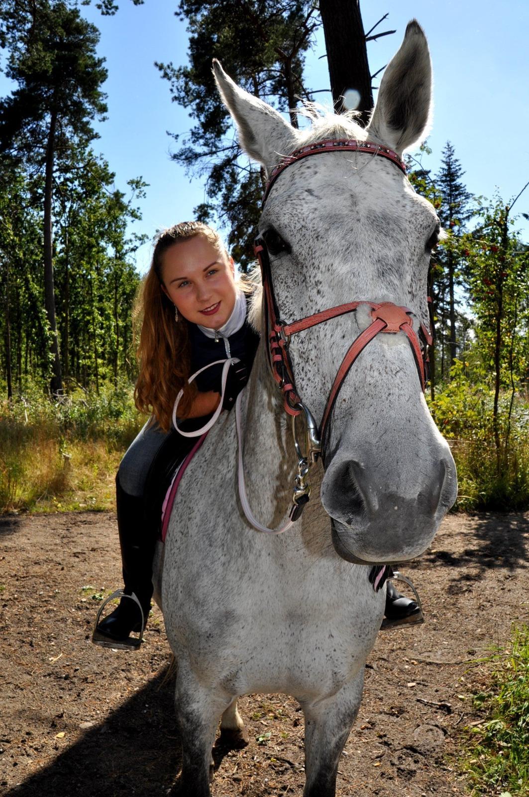 Dansk Varmblod Freja billede 1