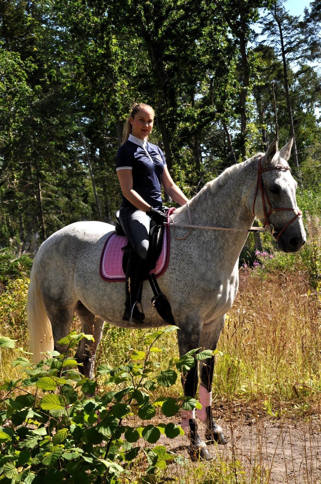 Dansk Varmblod Freja billede 3