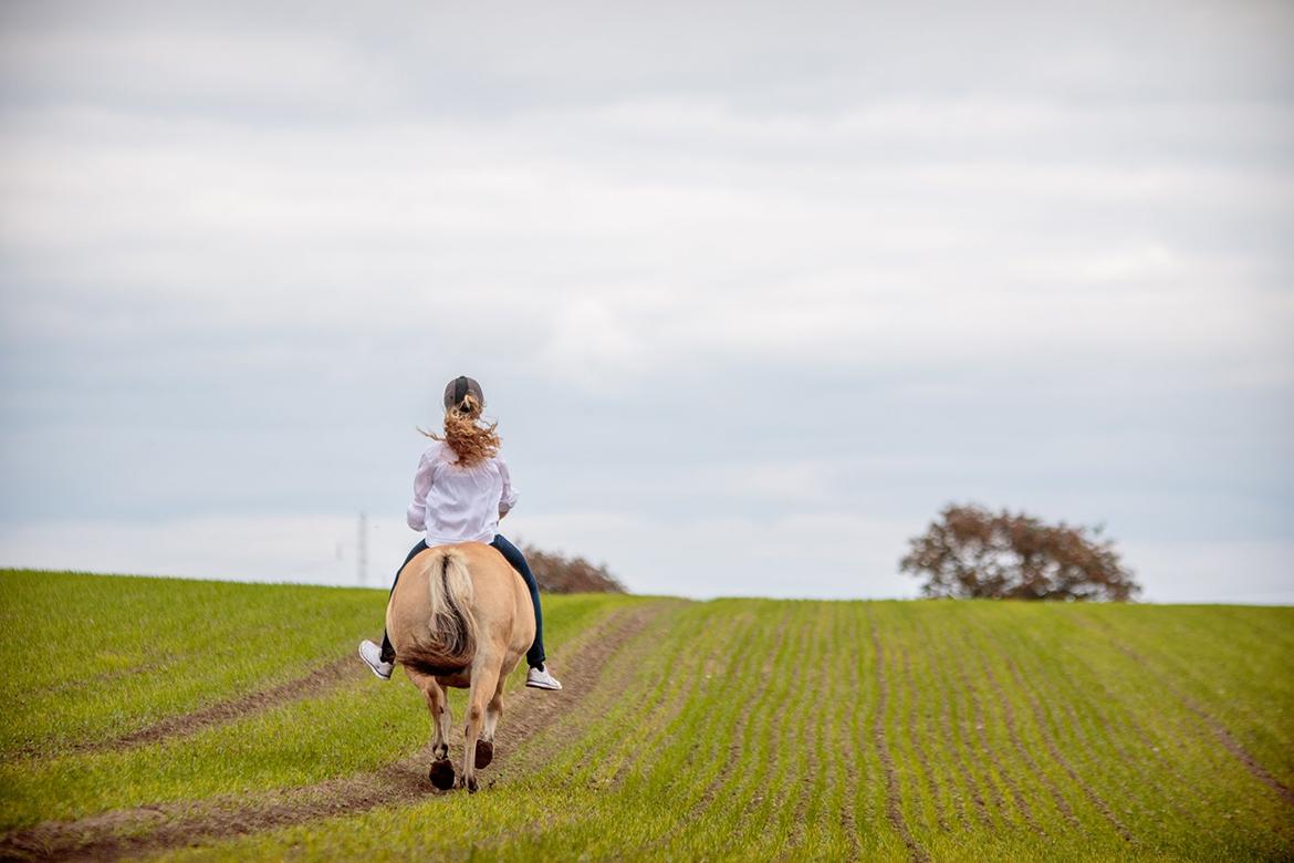 Fjordhest Lindelys Freja (Pony) - Nu vil vi trave videre ud i verden - vores helt store eventyr! <3. ©Katja Jensen Photography billede 10