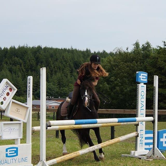 Anden særlig race Silver - Lige et fail billede <3 billede 12