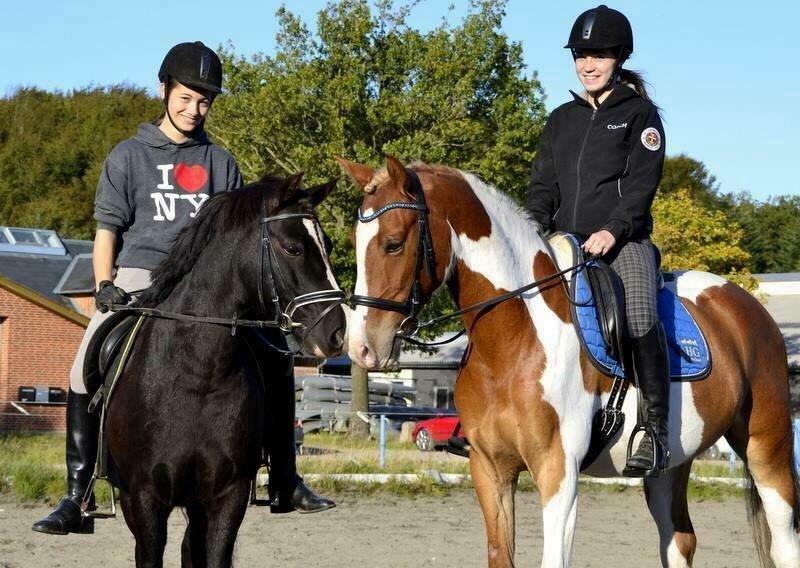 Anden særlig race Silver - Silver og Apache <3  billede 5