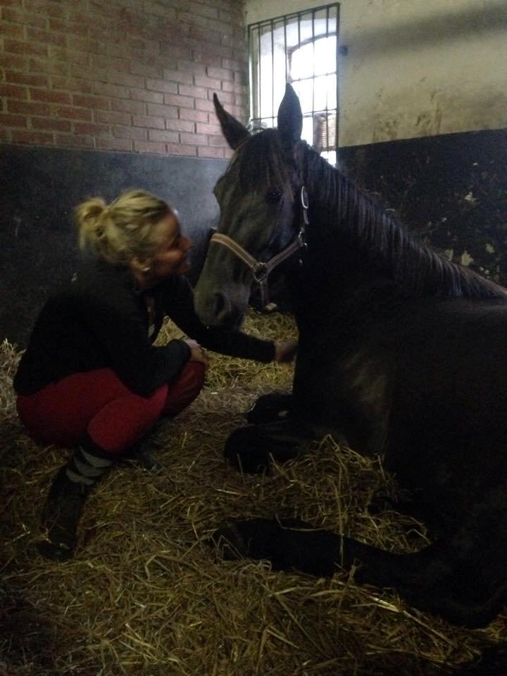 Anden særlig race Agetha billede 8