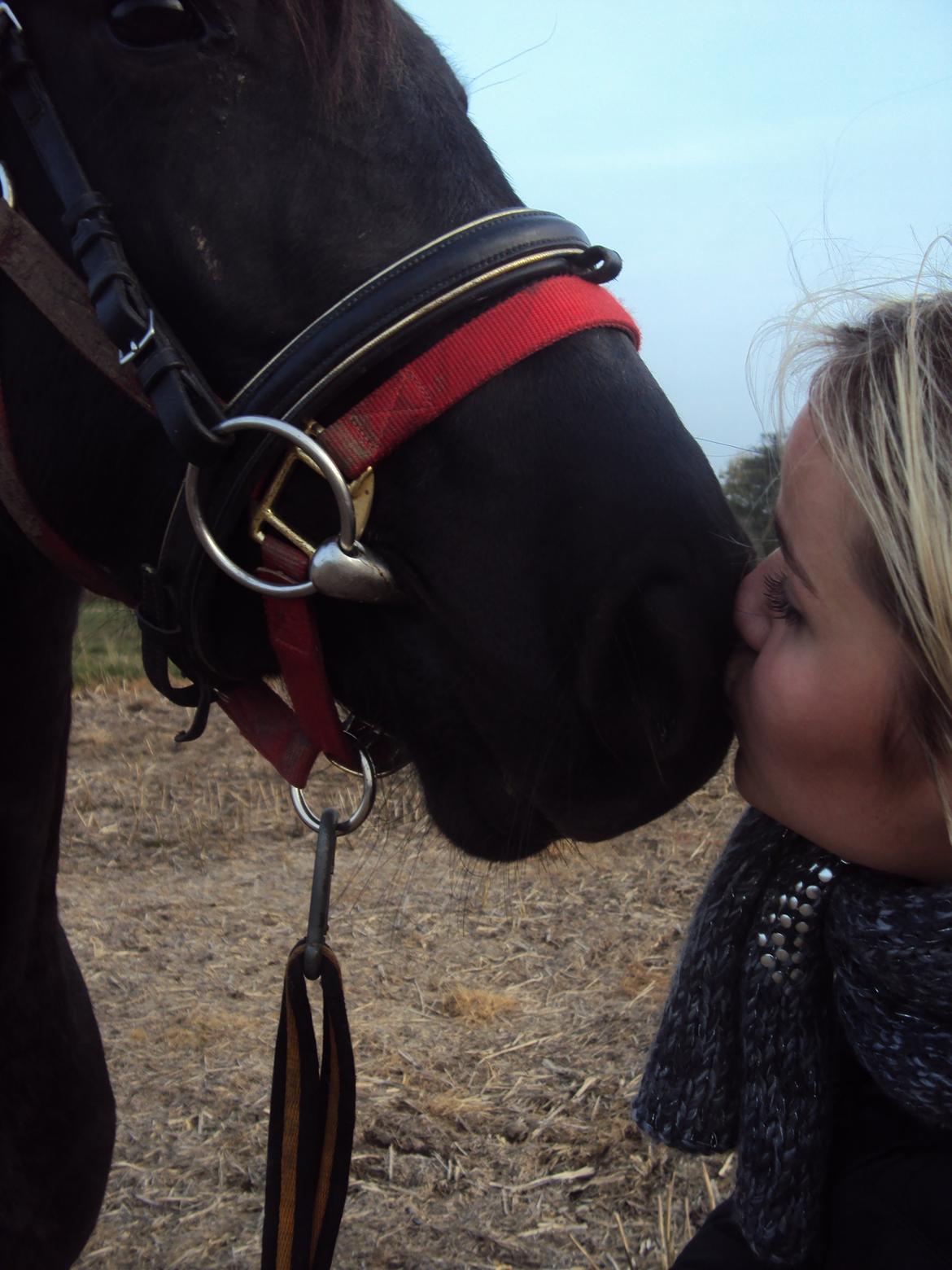 Anden særlig race Agetha billede 15