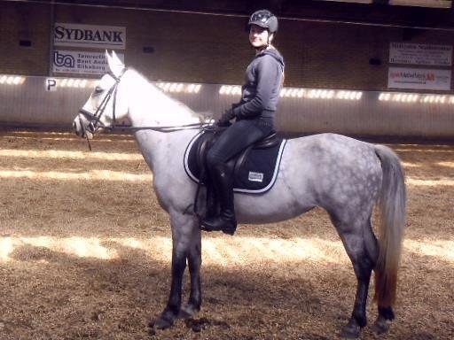 Anden særlig race Karisma billede 13