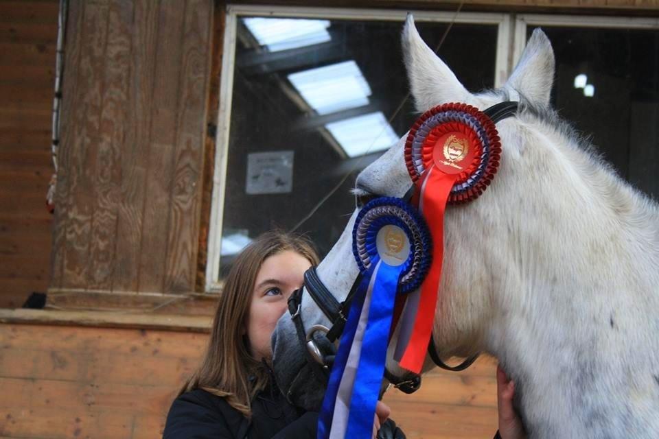 Anden særlig race Karisma billede 4