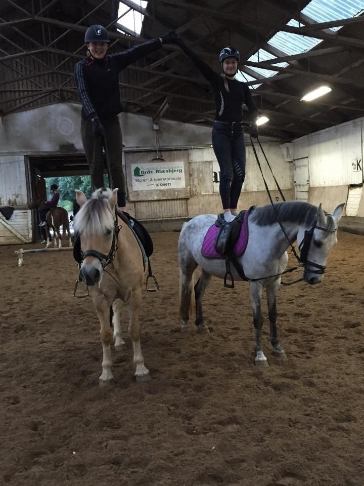 Anden særlig race Karisma billede 12