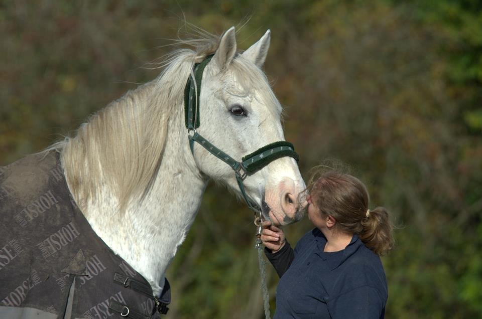 Anden særlig race Aslan - Oktober 2015 - tak for billedet Trine (o: billede 19