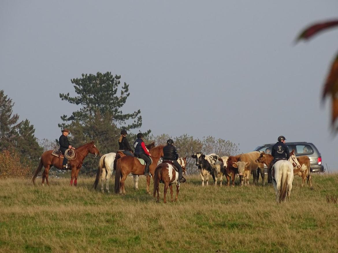 Paint SUPREME MEGA SNOW billede 19