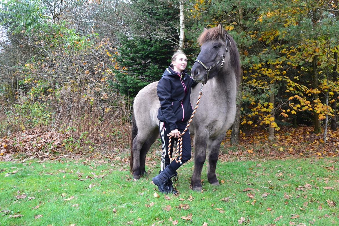 Islænder Móses Fra Sjónarhóli billede 24