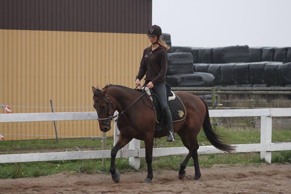 Traver Barbar Hornline (SE) (Deline) billede 35