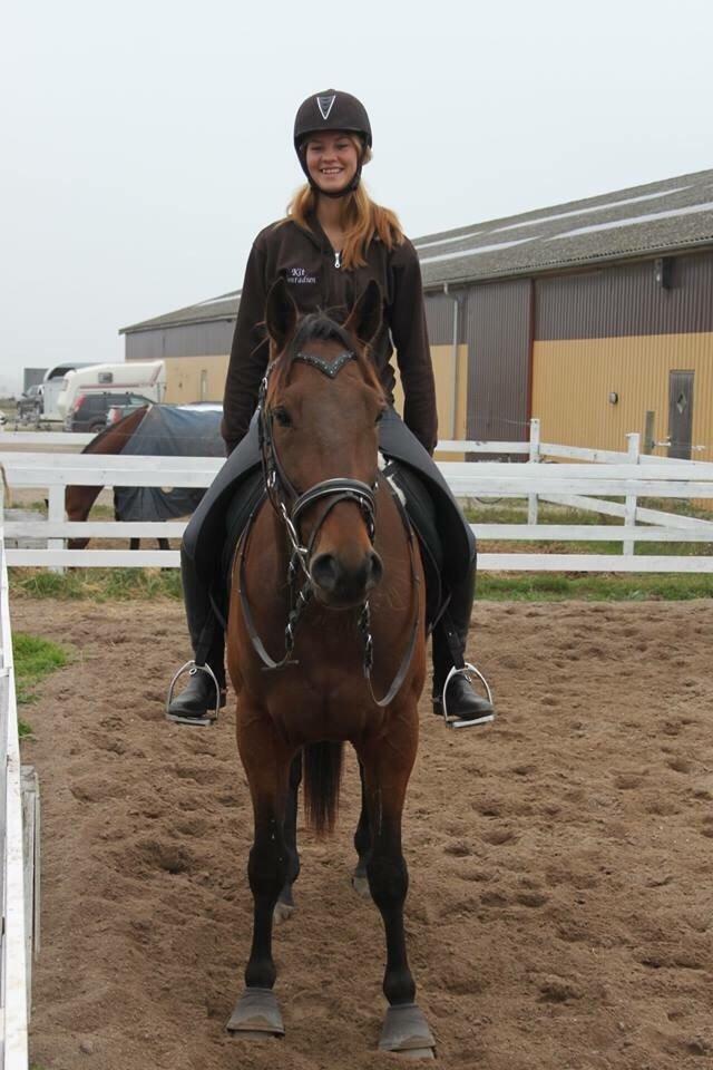 Traver Barbar Hornline (SE) (Deline) billede 50