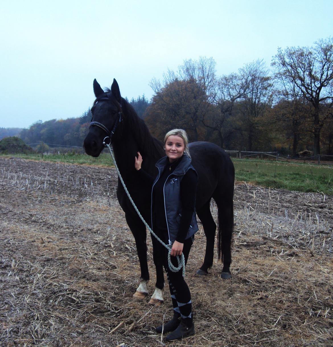 Anden særlig race Agetha billede 3