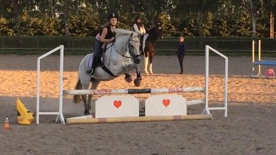 New Forest Dalens Bella billede 5