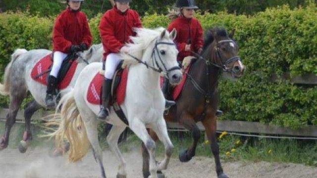 New Forest Dalens Bella billede 7