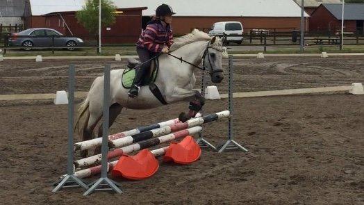 New Forest Dalens Bella billede 9