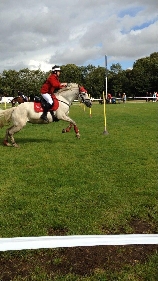 New Forest Dalens Bella billede 11