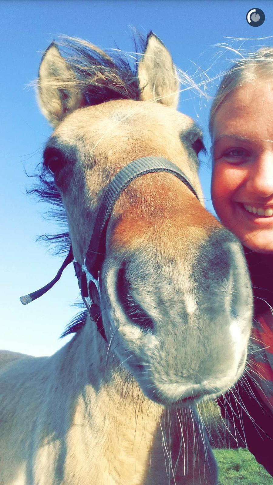 Anden særlig race Sukinox Her kommer jeg *Kalle* billede 21