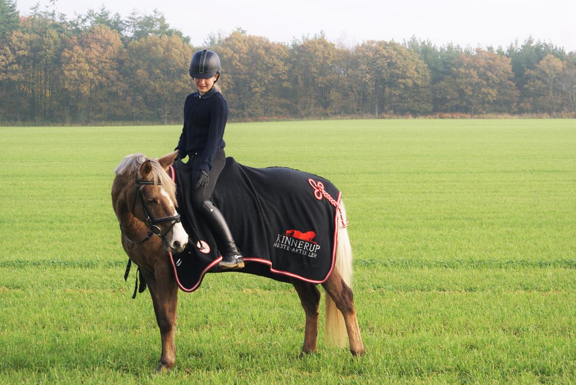 DSP Elvira Wales - <33 billede 6