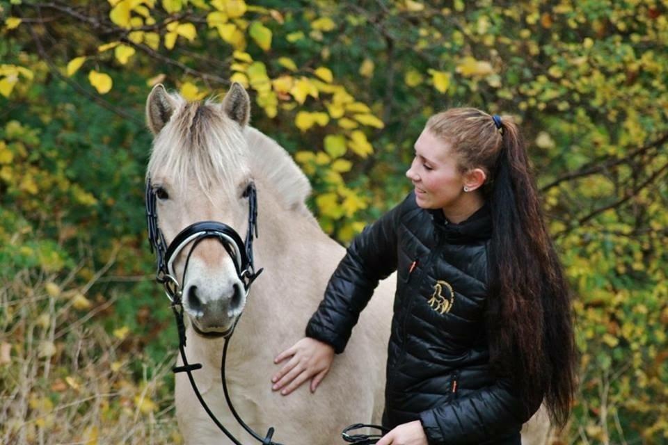 Fjordhest Hjorthøj's Tro billede 2