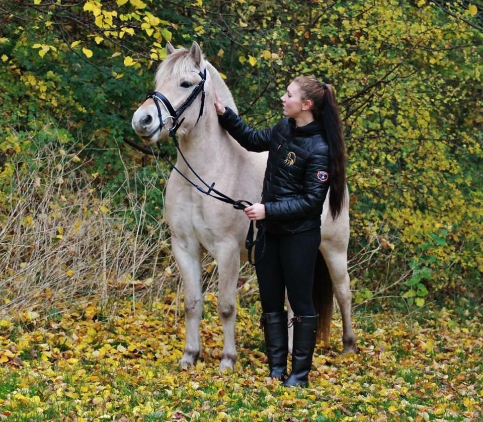 Fjordhest Hjorthøj's Tro billede 11