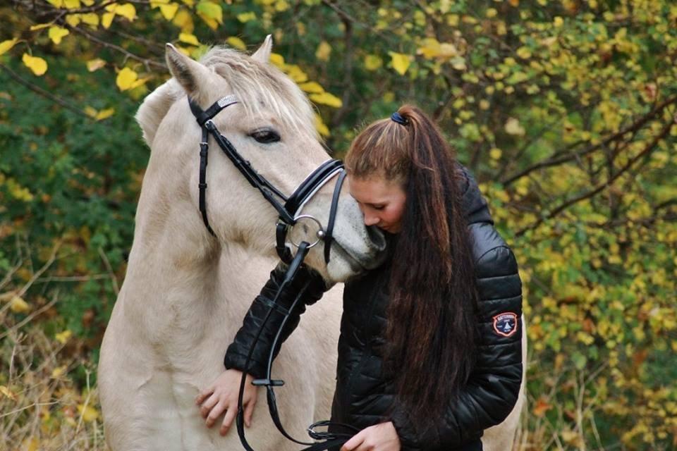 Fjordhest Hjorthøj's Tro billede 10
