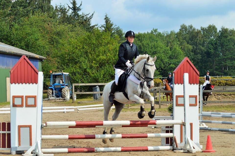 Anden særlig race Hyldens Hearty Fellow - flyvende over 70 cm 👏🏼 billede 6