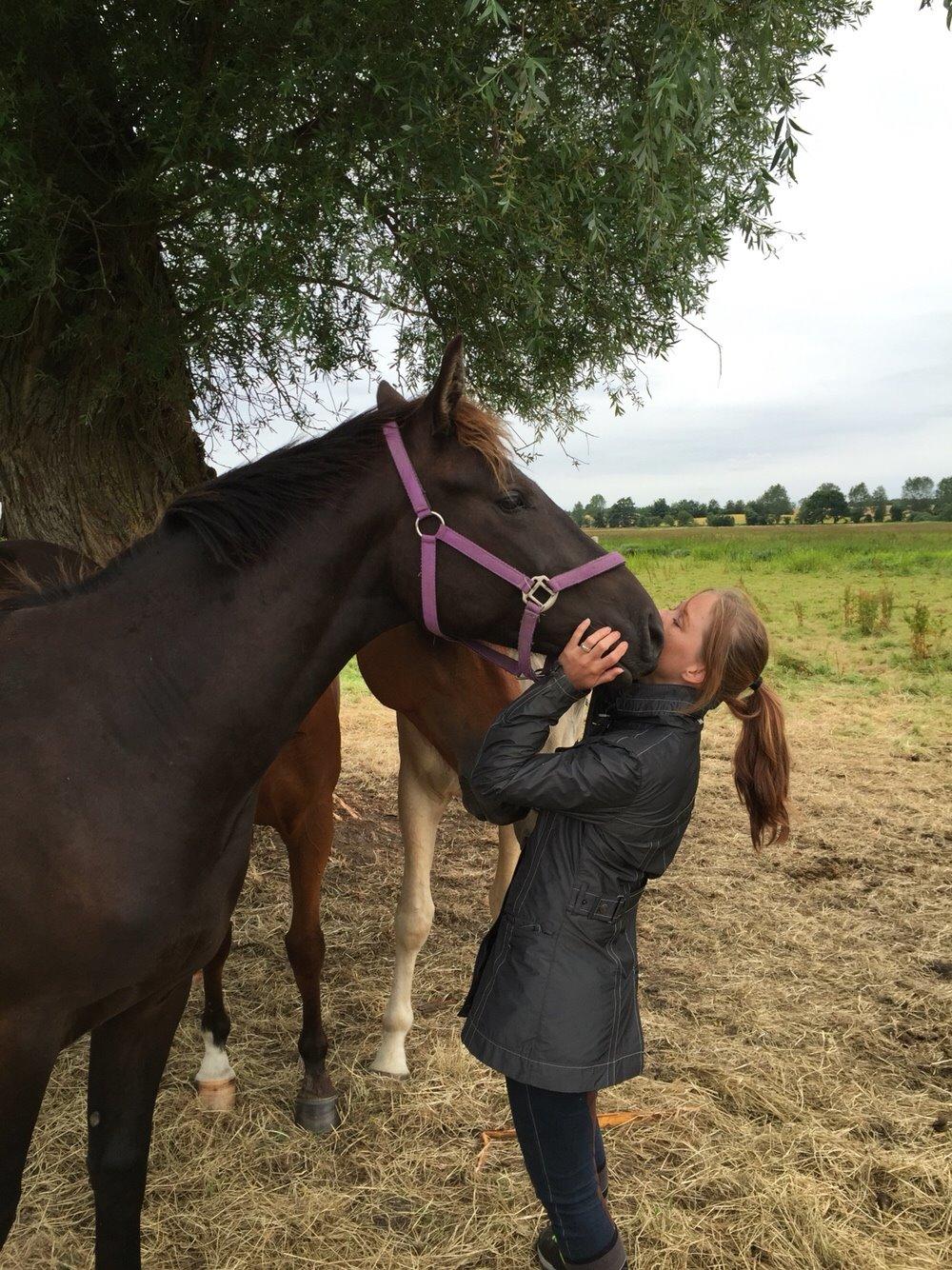 Anden særlig race Finest Mocca billede 36