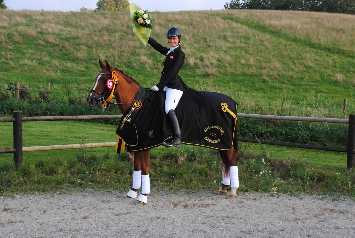Trakehner Catwalk billede 7