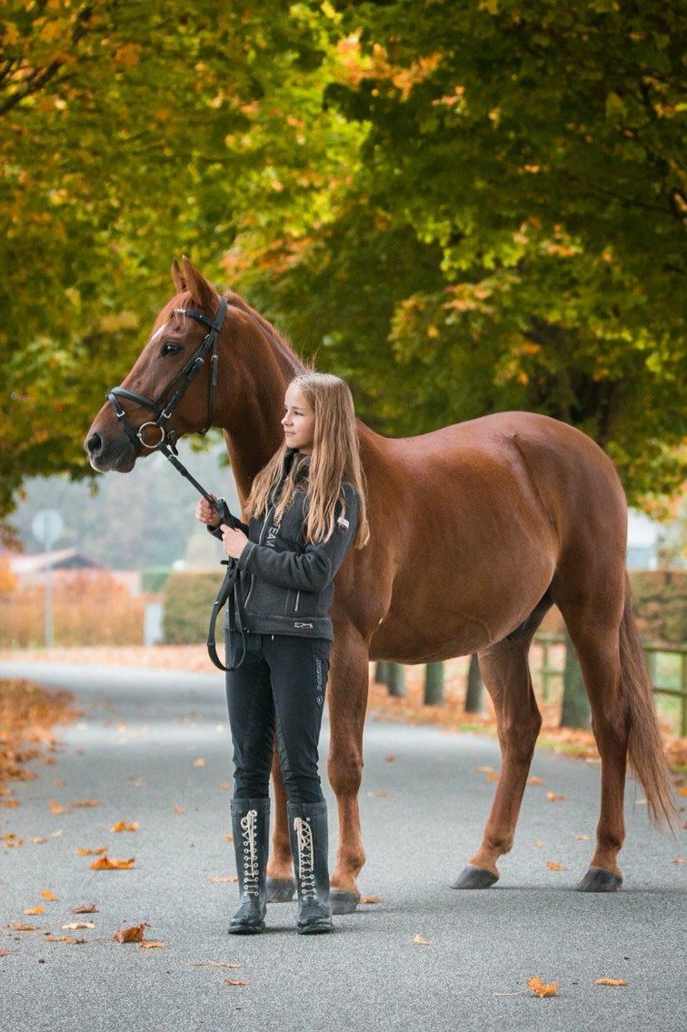 Anden særlig race Starlight - Foto Cecilie Graversen billede 17