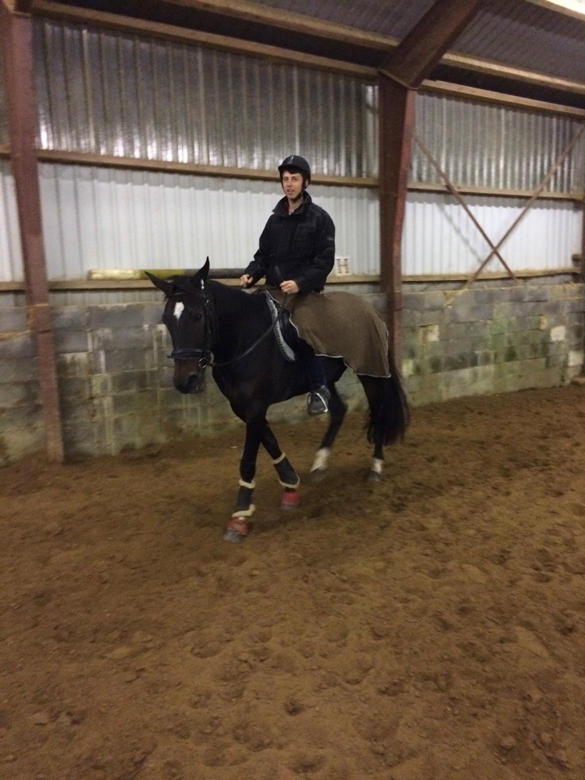 Traver Alica Gold  - Det er så fedt at have en kæreste der også kan lide heste og som enda kan ride :D billede 28