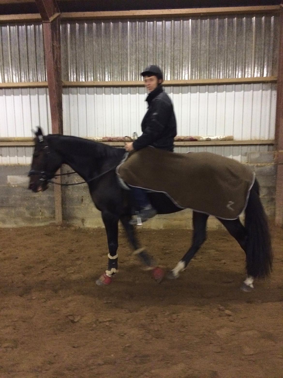 Traver Alica Gold  billede 29