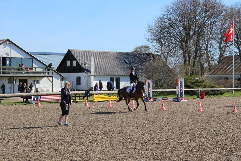 DSP Lassen`s Pay Per View billede 18