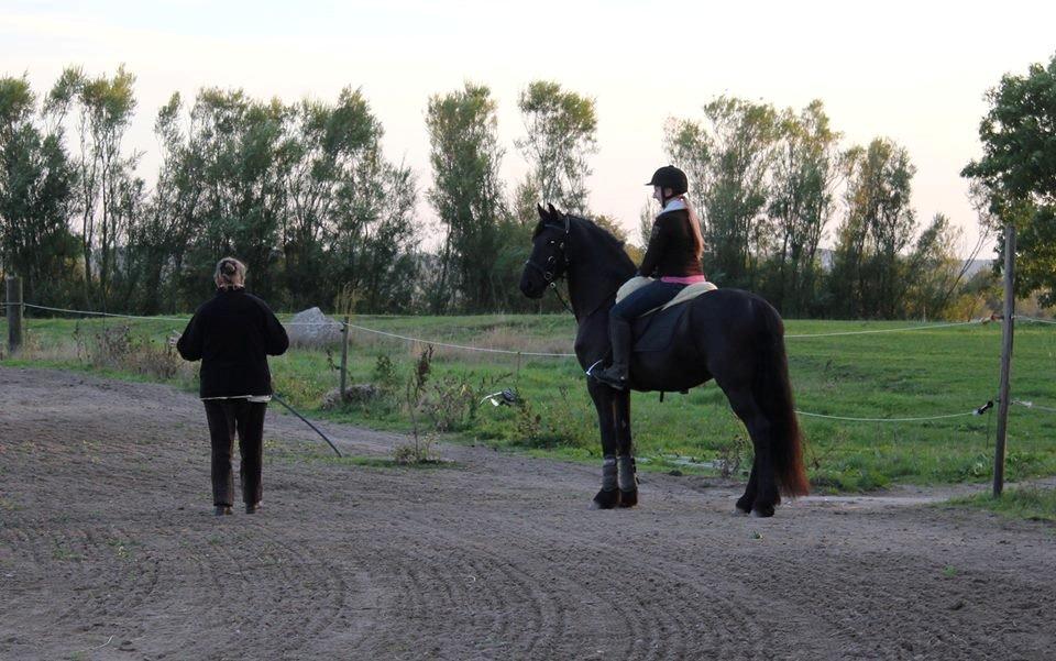 Frieser Gandalf af Dandanell billede 25