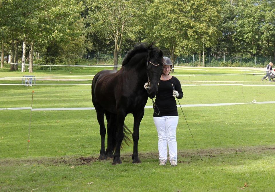 Frieser Gandalf af Dandanell billede 32