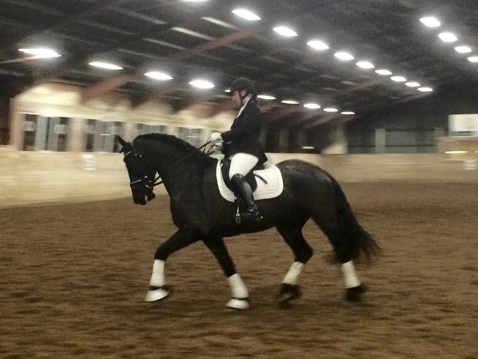 Frieser Ate fan'e Sânmar billede 19