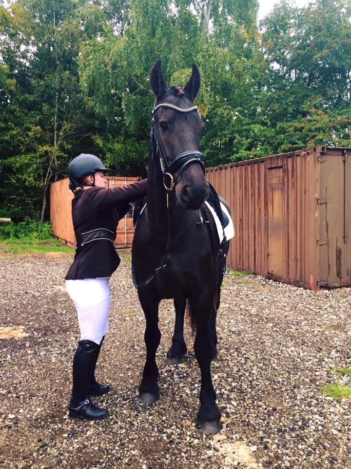 Frieser Ate fan'e Sânmar billede 10