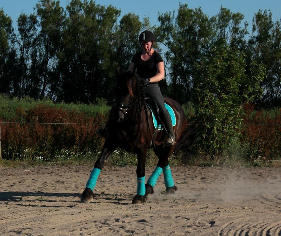 Frieser Ate fan'e Sânmar billede 21