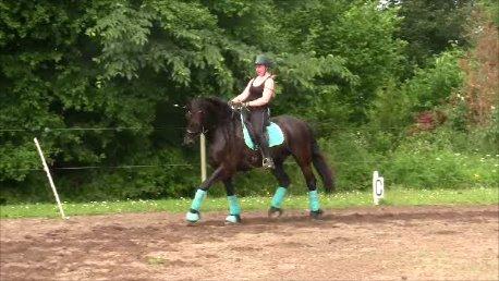 Frieser Ate fan'e Sânmar billede 9