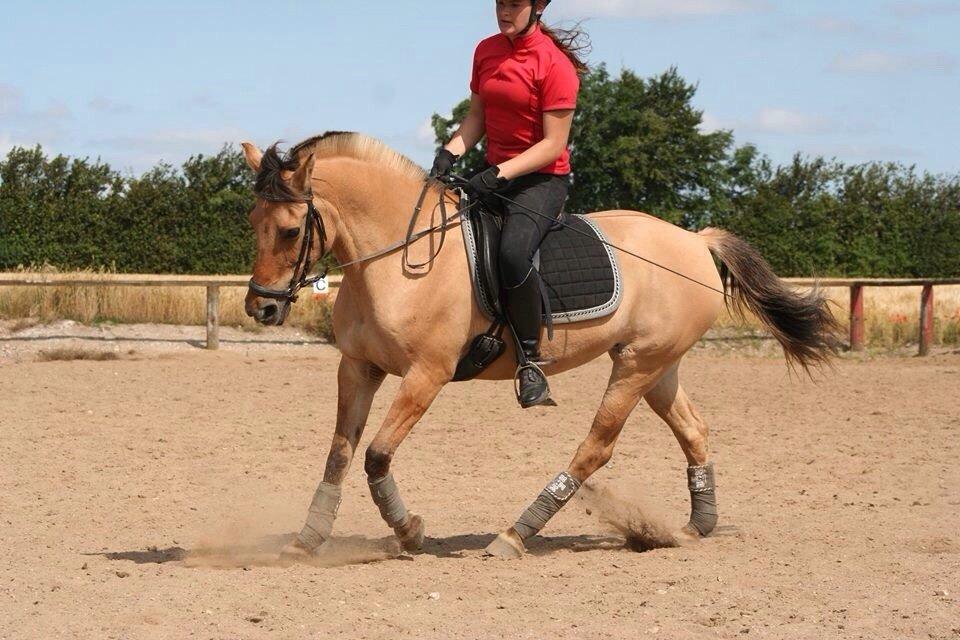 Anden særlig race Sally billede 19