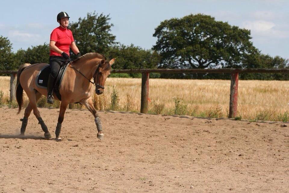 Anden særlig race Sally billede 20
