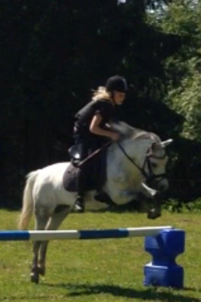 Welsh Mountain (sec A) Liljelunds Annabell - Hopla billede 2