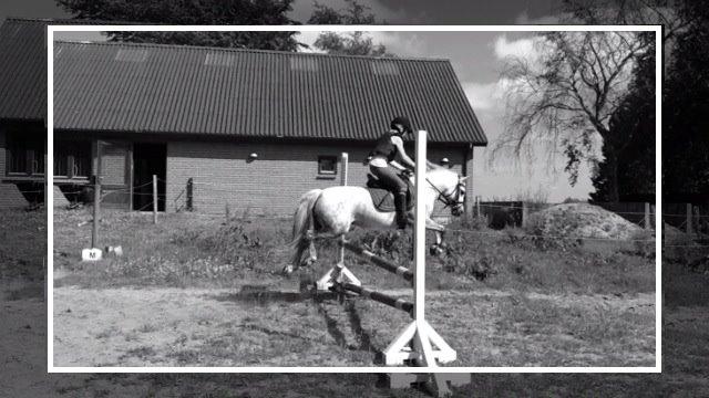 Welsh Mountain (sec A) Liljelunds Annabell - Et lille spring billede 5