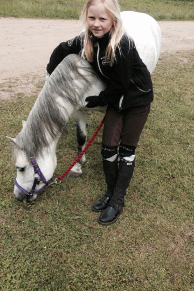 Welsh Mountain (sec A) Liljelunds Annabell - Første gang på Turk rideklub billede 8