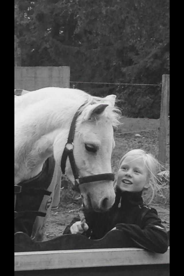 Welsh Mountain (sec A) Liljelunds Annabell - Vil du gifte dig med mig :) billede 15