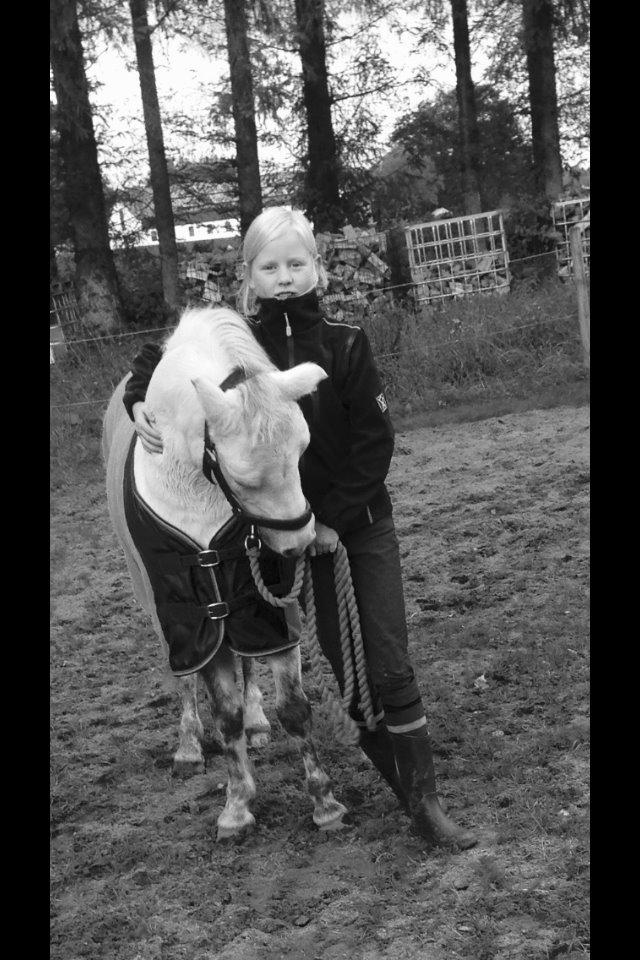 Welsh Mountain (sec A) Liljelunds Annabell - Sødeste pony (Taget af Lucca:)) billede 17