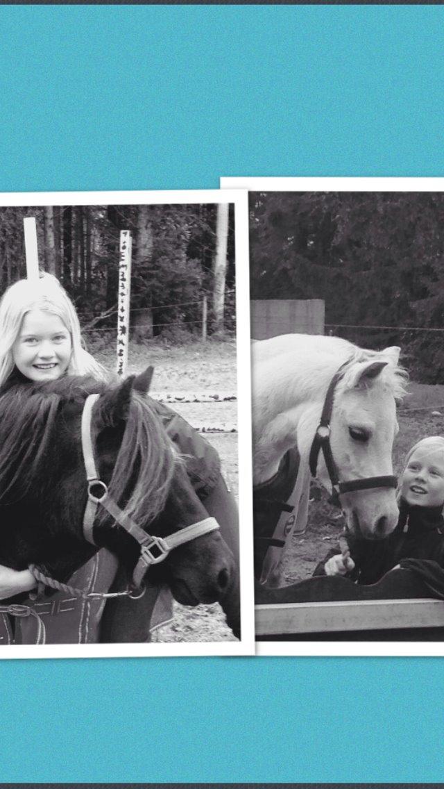 Welsh Mountain (sec A) Liljelunds Annabell - Annabell og hendes elskede :-) billede 18