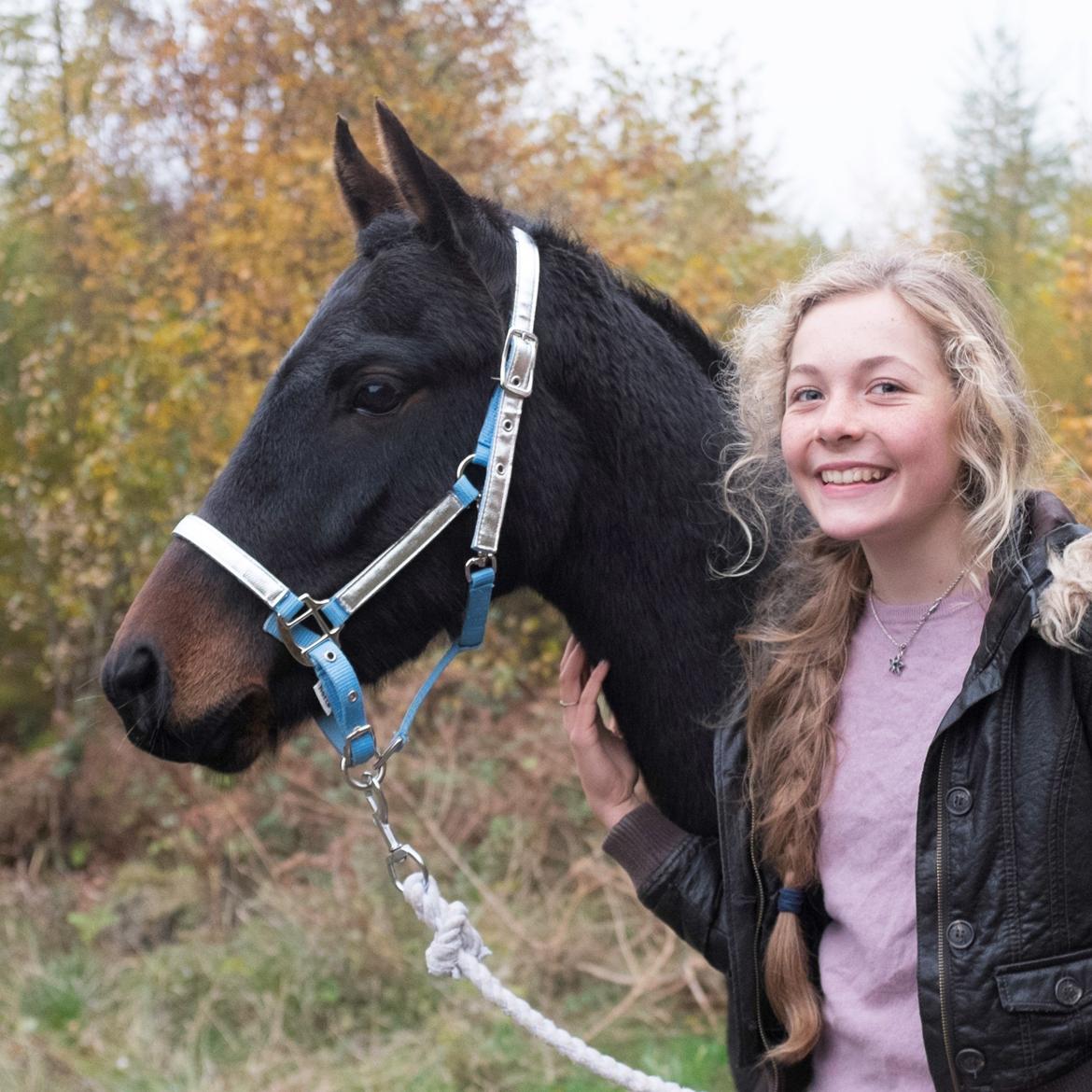 DSP Festina's Chevi *bestie* - <3 billede 14