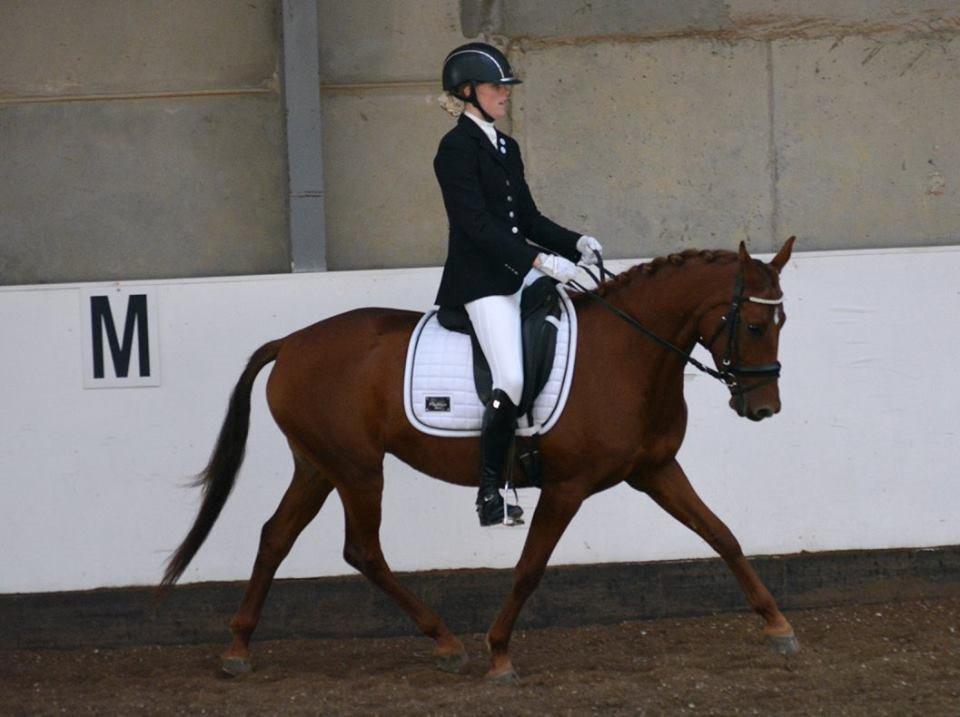 DSP Lykkesholms catla - DSP championat - kvalifikation billede 8