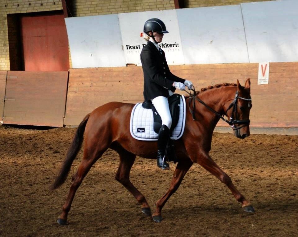 DSP Lykkesholms catla - DSP championat - finale billede 4