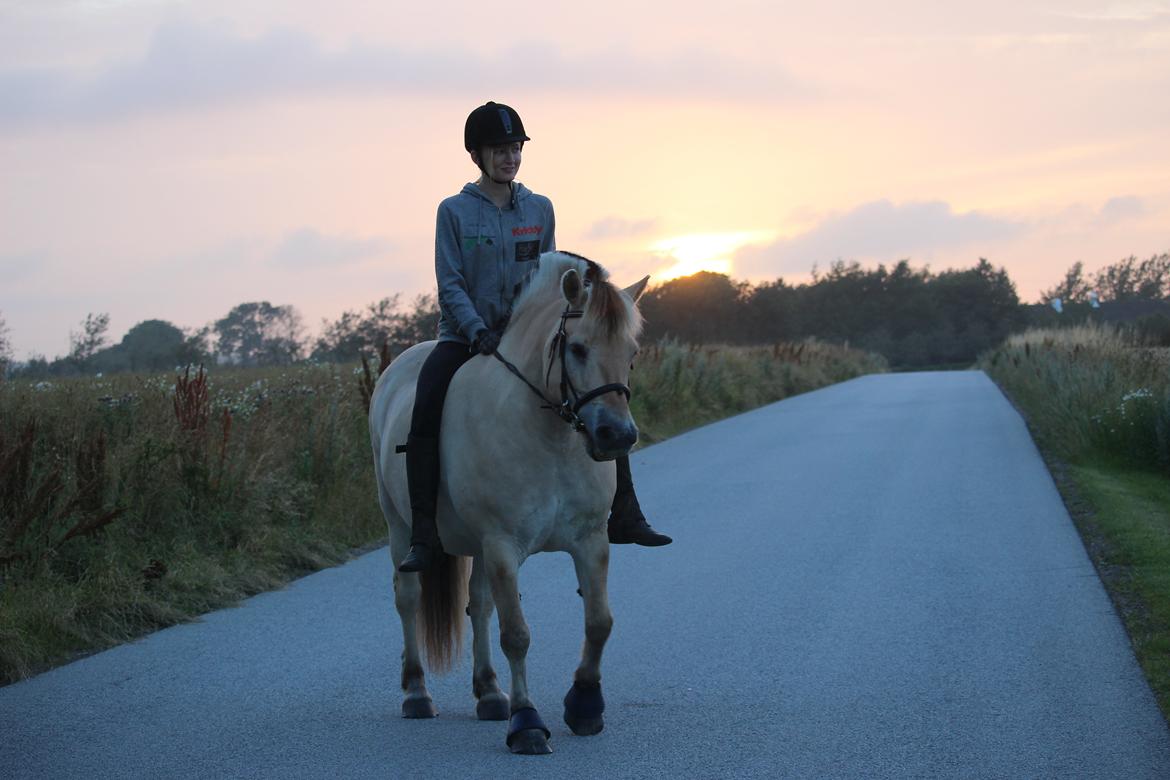 Anden særlig race Frederik billede 14